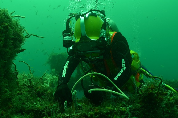 Servicio de asistencia en derrames de petróleo u otras sustancias contaminantes en el mar.

Plan de contingencia
Arriendo de equipos especializados de apoyo
Servicio de mantenimiento de equipos
Servicio de primera respuesta in-house
Servicio de asistencia en emergencia
